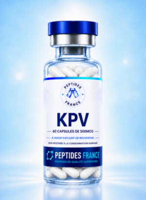 KPV capsules 500mcg – 60 unités, peptide de recherche Peptides France