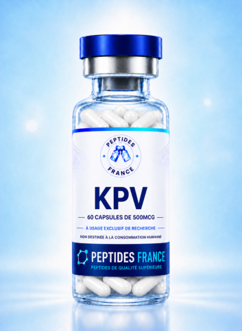 KPV capsules 500mcg – 60 unités, peptide de recherche Peptides France