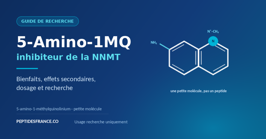 5-Amino-1MQ guide complet
