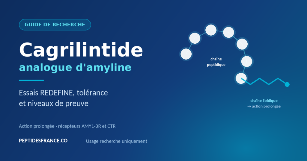 Cagrilintide guide complet
