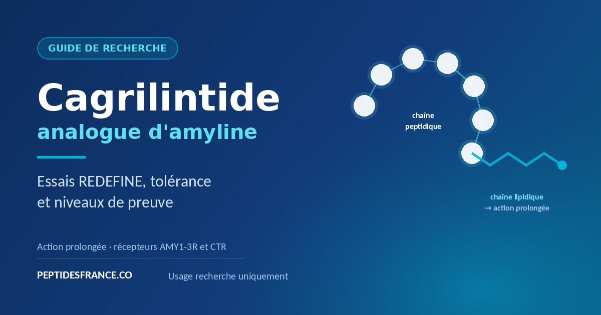 Cagrilintide analogue d'amyline lipide — guide de recherche Peptides France