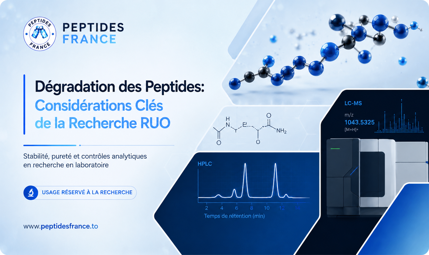degradation des peptides