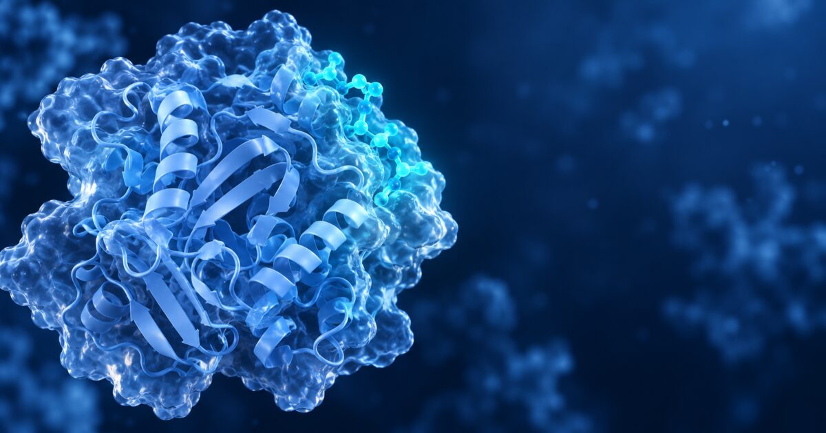Représentation 3D d'un peptide lié à une grande protéine de transport